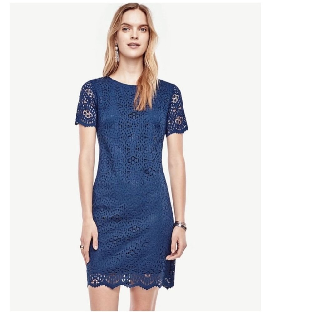 Ann Taylor Blue Mosaic Lace Shift Dress Size 4